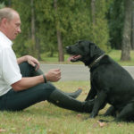 Az orosz GPS-t Putyin kutyája teszteli